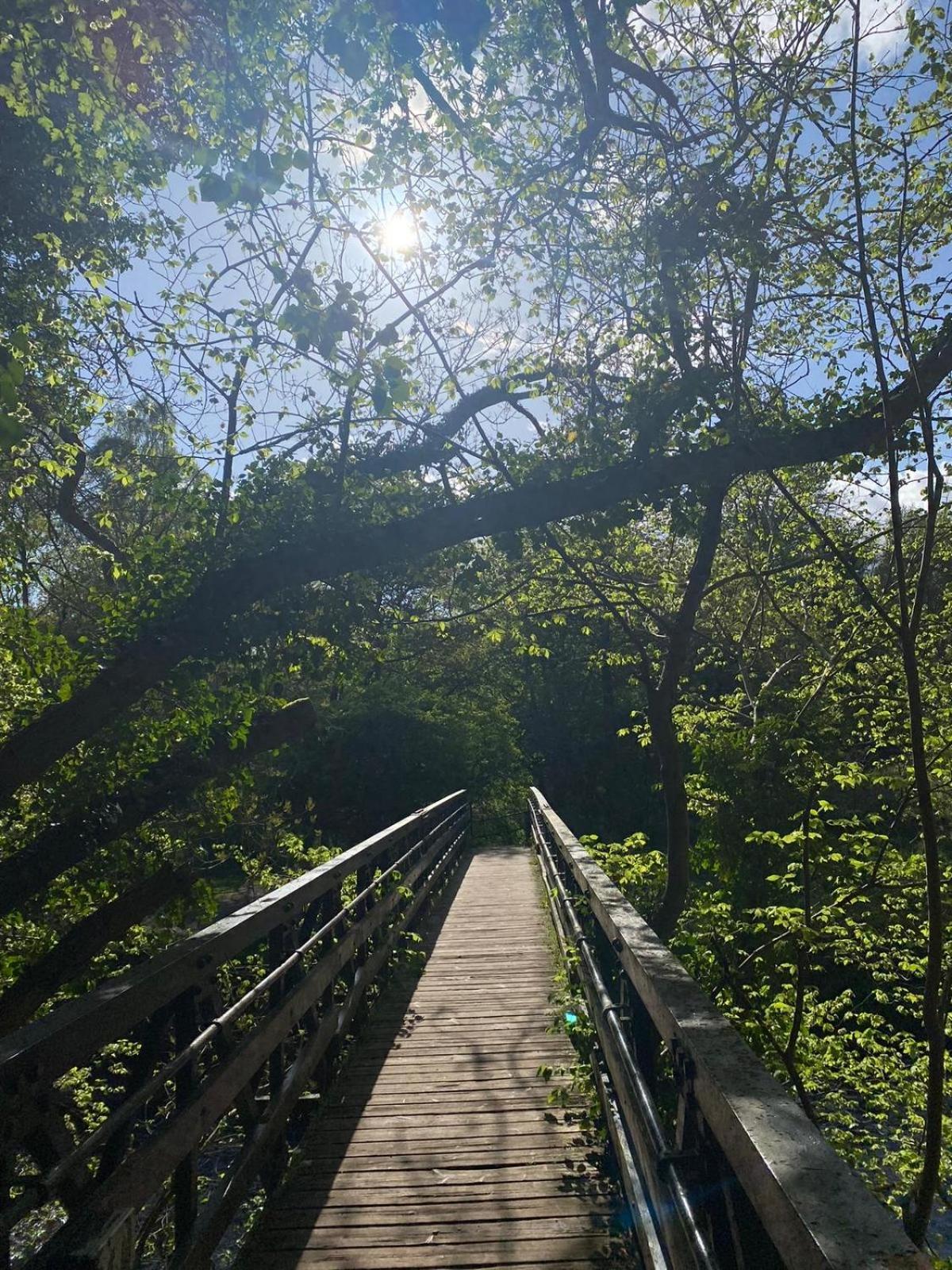 Lovely Countryside Getaway 罗斯林 外观 照片
