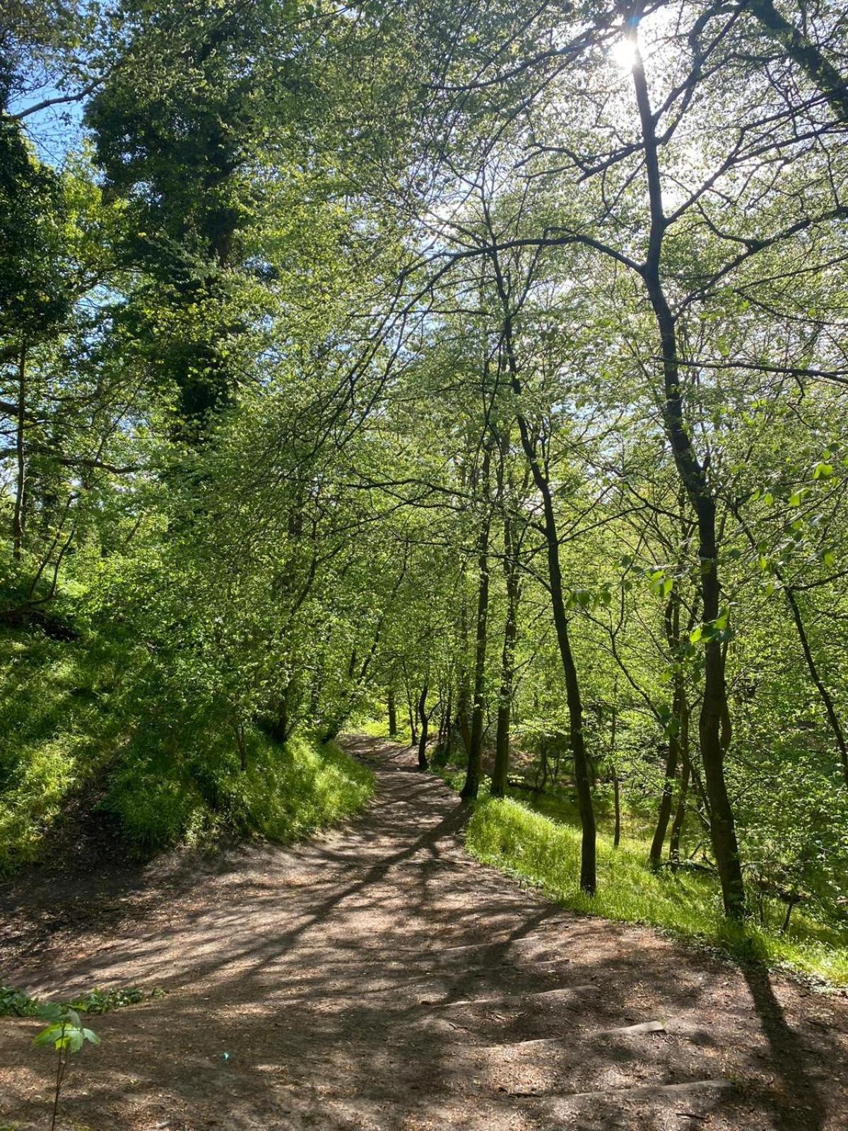 Lovely Countryside Getaway 罗斯林 外观 照片